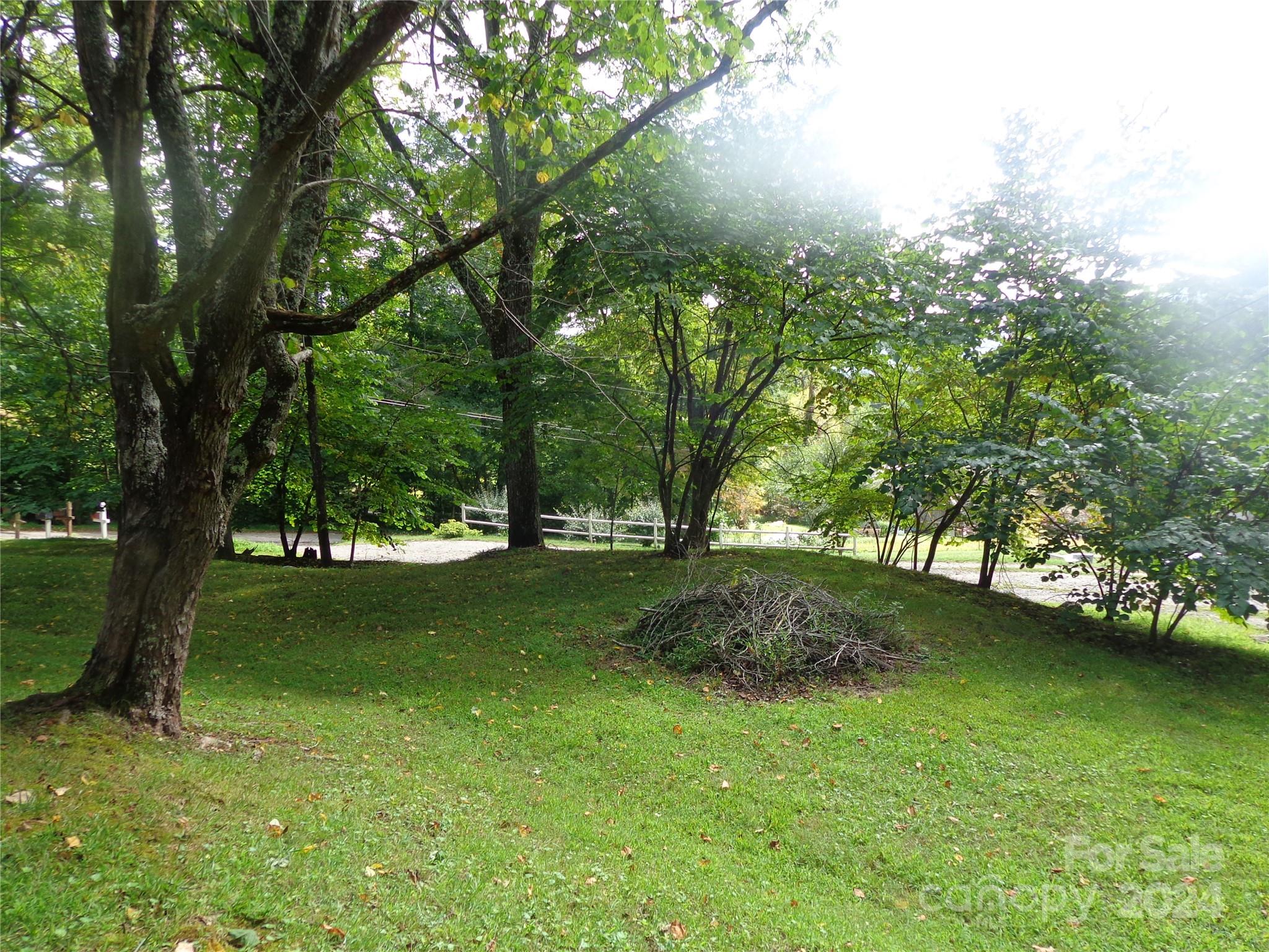 981 Rufus Robinson Road Sylva, NC 28779 - Photo 22 of 27 a view of a trees with a yard