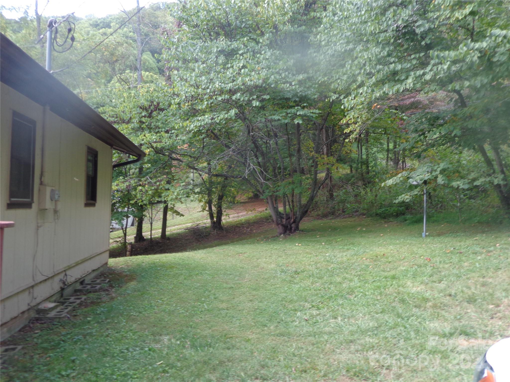 981 Rufus Robinson Road Sylva, NC 28779 - Photo 24 of 27 a view of a trees with a yard