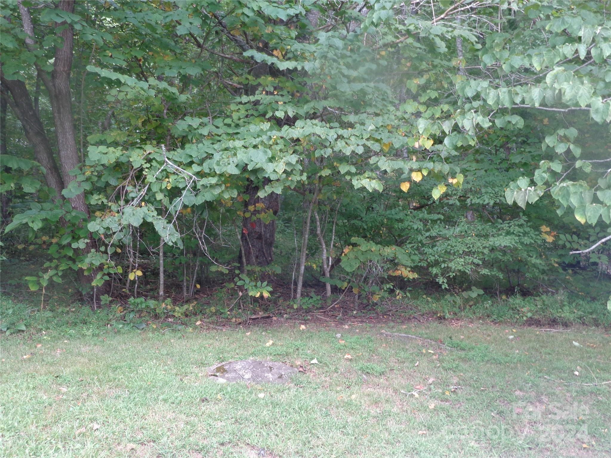 981 Rufus Robinson Road Sylva, NC 28779 - Photo 25 of 27 a backyard of a house with lots of green space