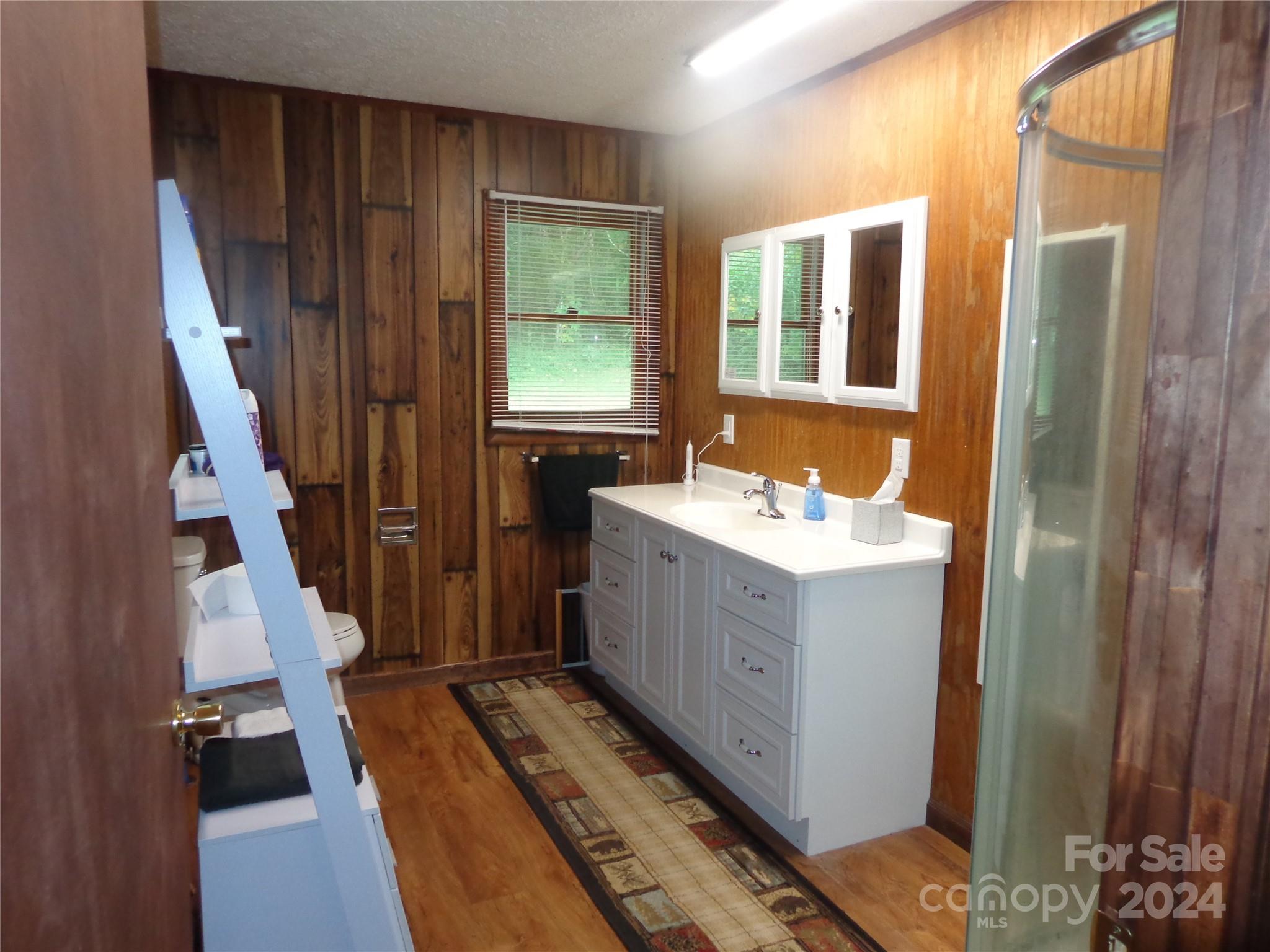 981 Rufus Robinson Road Sylva, NC 28779 - Photo 9 of 27 a bathroom with sink and mirror
