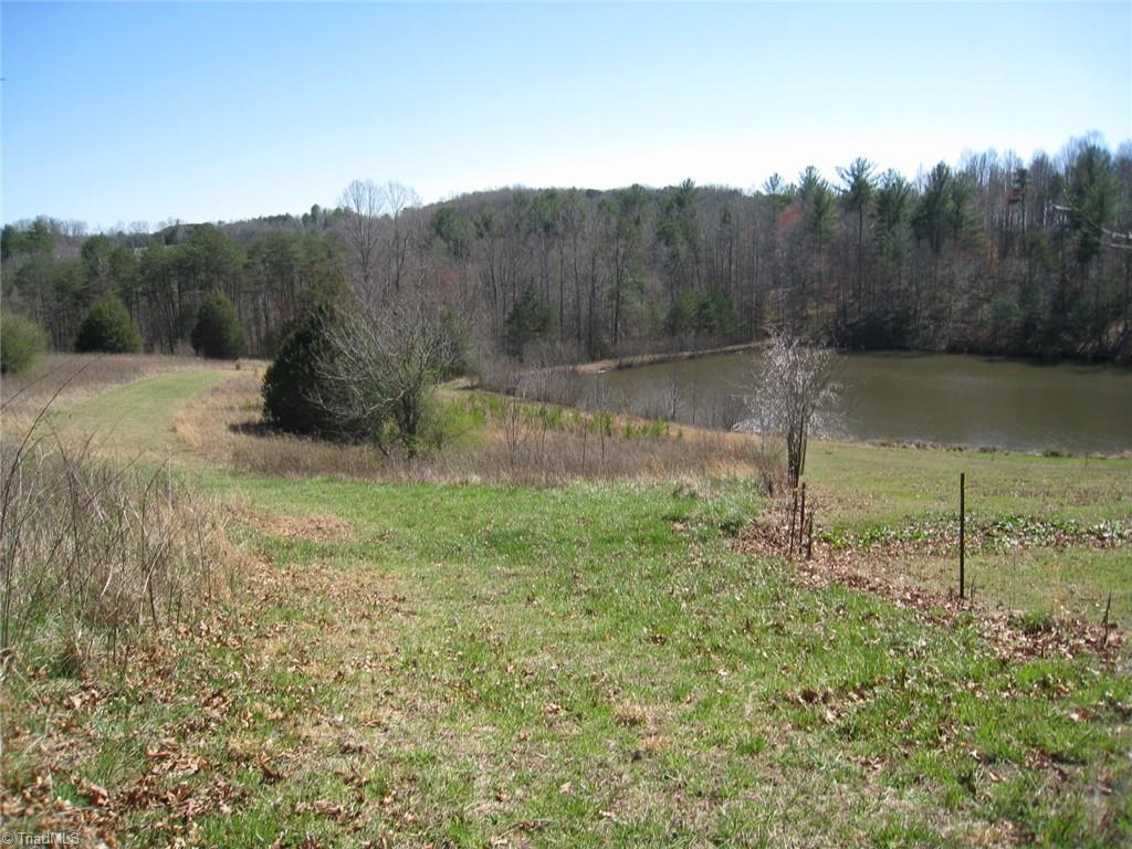 0 Flippin Road Westfield, NC 27053 - Photo 1 of 20