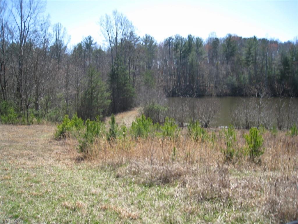 0 Flippin Road Westfield, NC 27053 - Photo 15 of 20