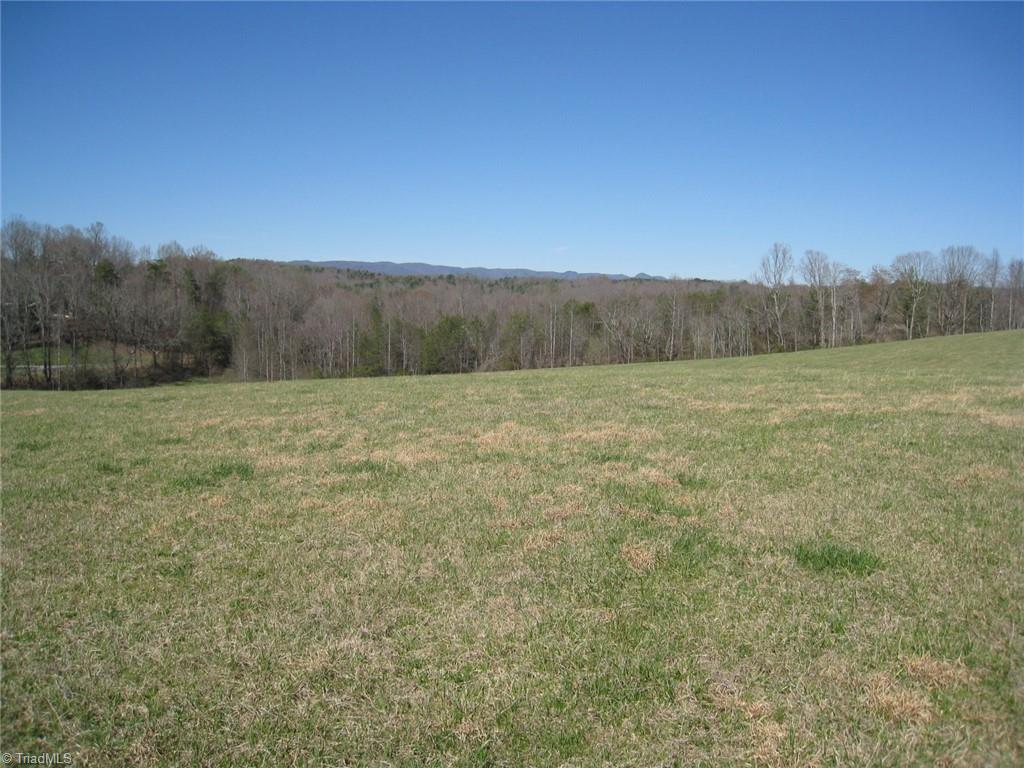 0 Flippin Road Westfield, NC 27053 - Photo 18 of 20