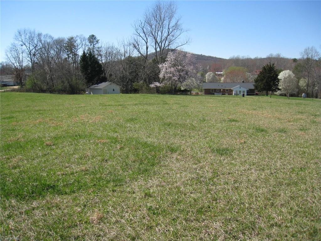 0 Flippin Road Westfield, NC 27053 - Photo 19 of 20