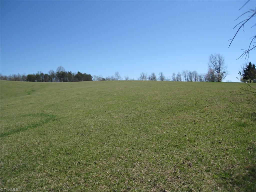 0 Flippin Road Westfield, NC 27053 - Photo 2 of 20
