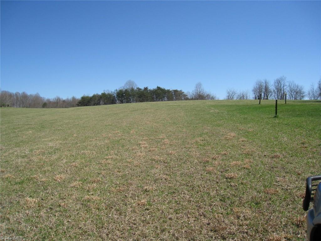 0 Flippin Road Westfield, NC 27053 - Photo 5 of 20
