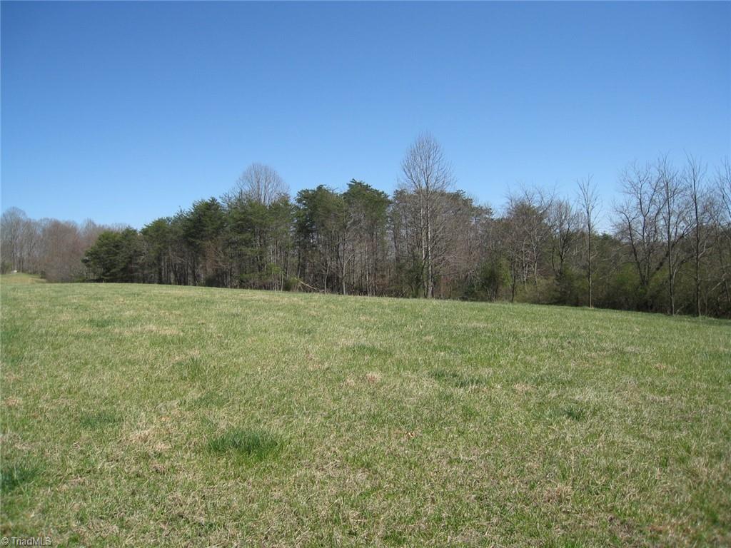 0 Flippin Road Westfield, NC 27053 - Photo 6 of 20