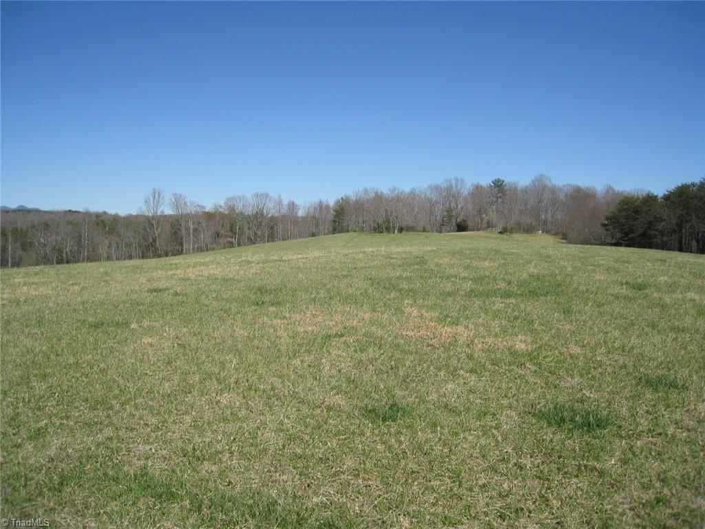 0 Flippin Road Westfield, NC 27053 - Photo 7 of 20