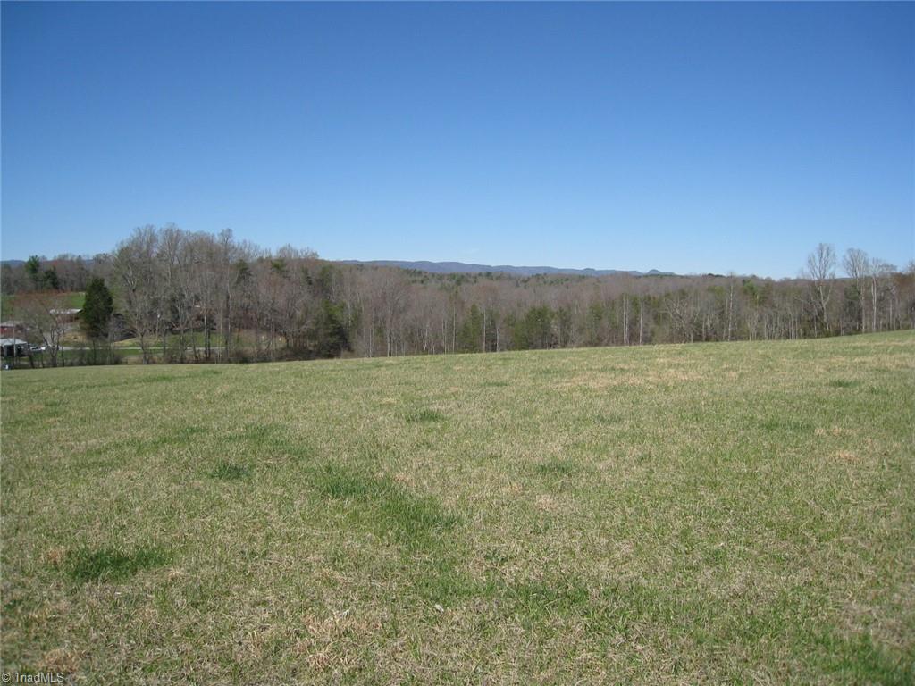 0 Flippin Road Westfield, NC 27053 - Photo 9 of 20
