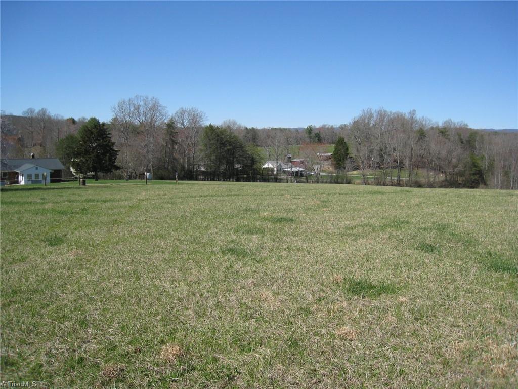 0 Flippin Road Westfield, NC 27053 - Photo 10 of 20