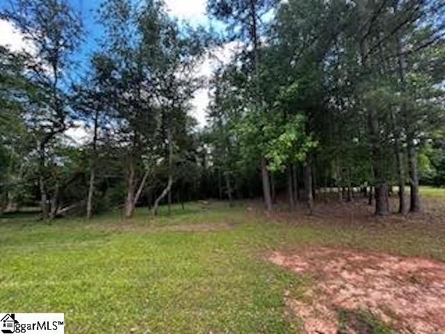 27121 Stockton Road Fountain Inn, SC 29644 - Photo 25 of 29