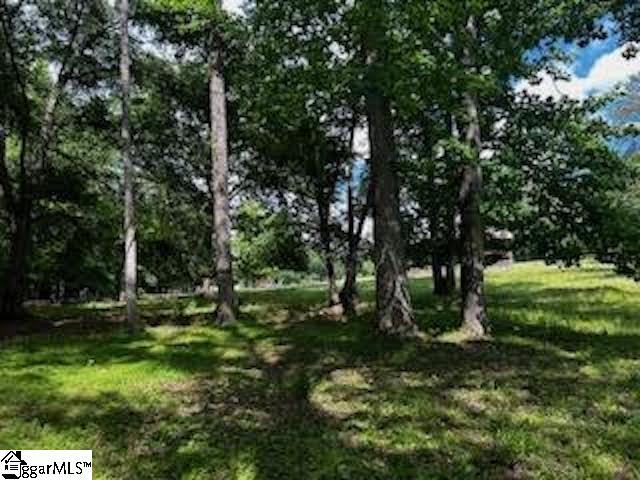 27121 Stockton Road Fountain Inn, SC 29644 - Photo 8 of 29