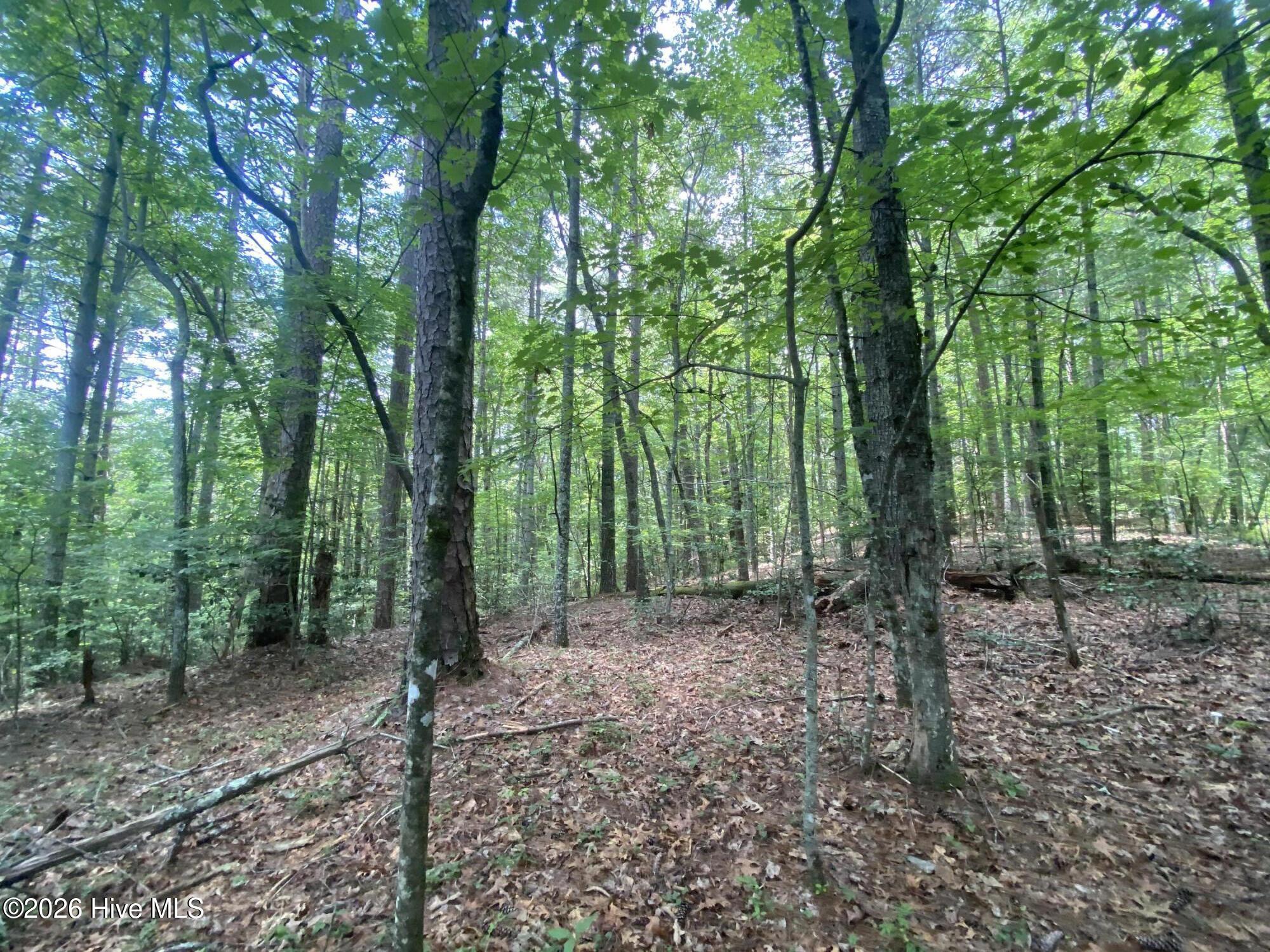 2340 Candy Mountain Road Murphy, NC 28906 - Photo 8 of 8