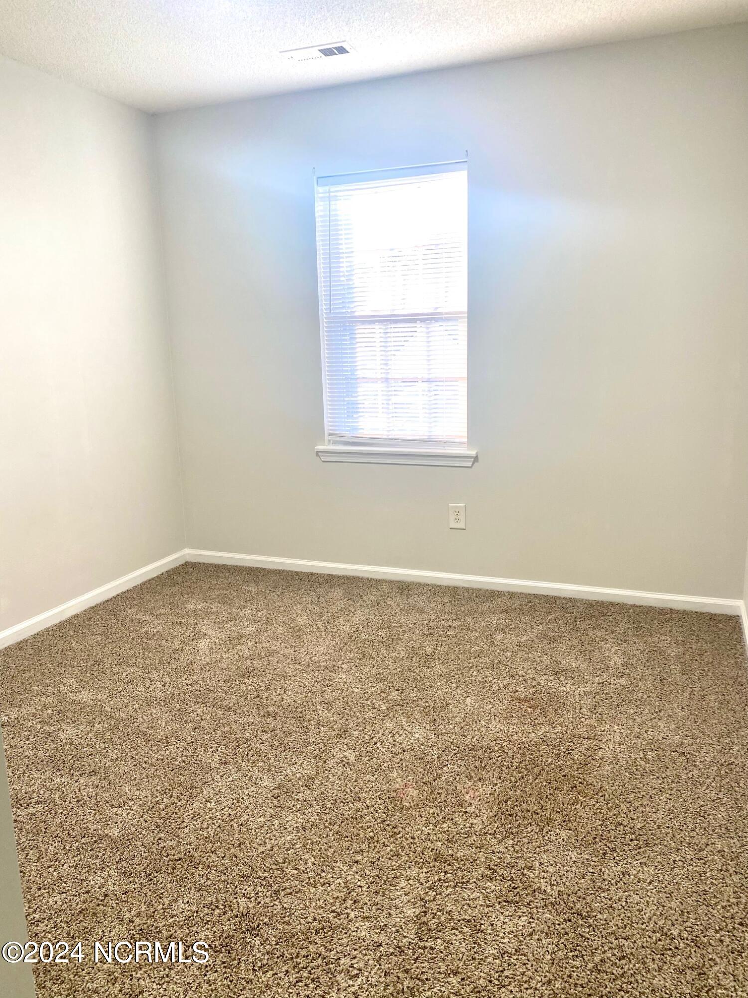 216 Redberry Drive Richlands, NC 28574 - Photo 28 of 44 IMG_5572