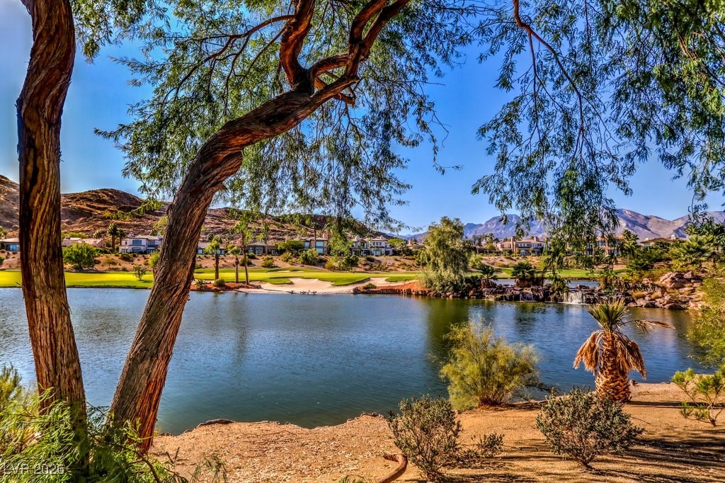 2913 Soft Horizon Way Las Vegas, NV 89135 - Photo 53 of 54