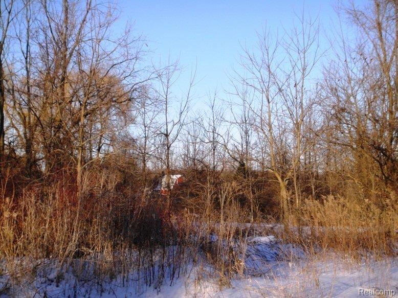 0 Five Five Mile Road Ann Arbor, MI 48105 - Photo 1 of 5 View of property