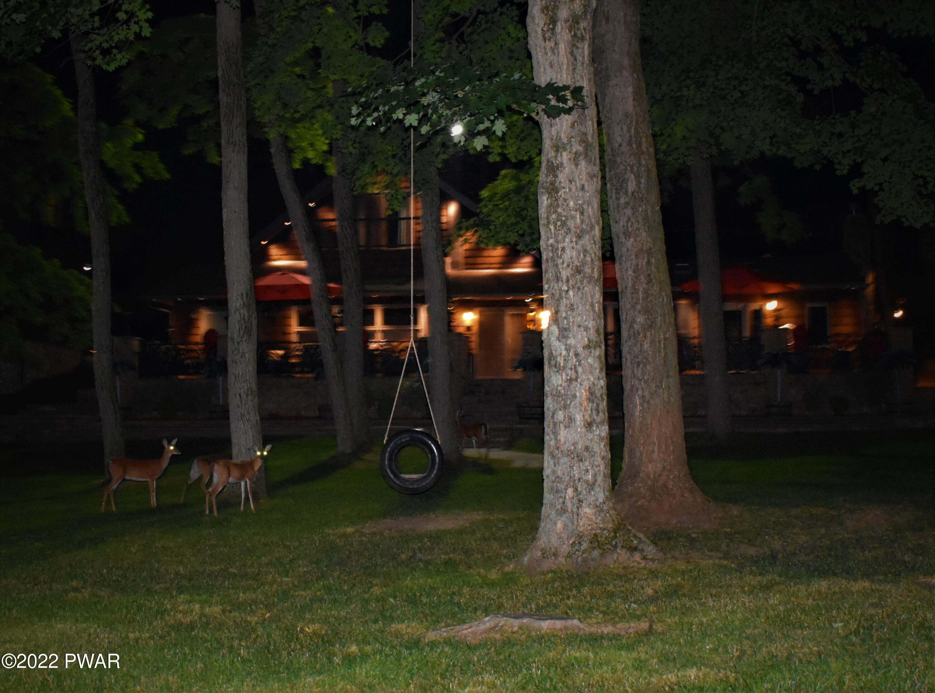 101 Lakeside Road Lakeville, PA 18438 - Photo 42 of 51 night animals