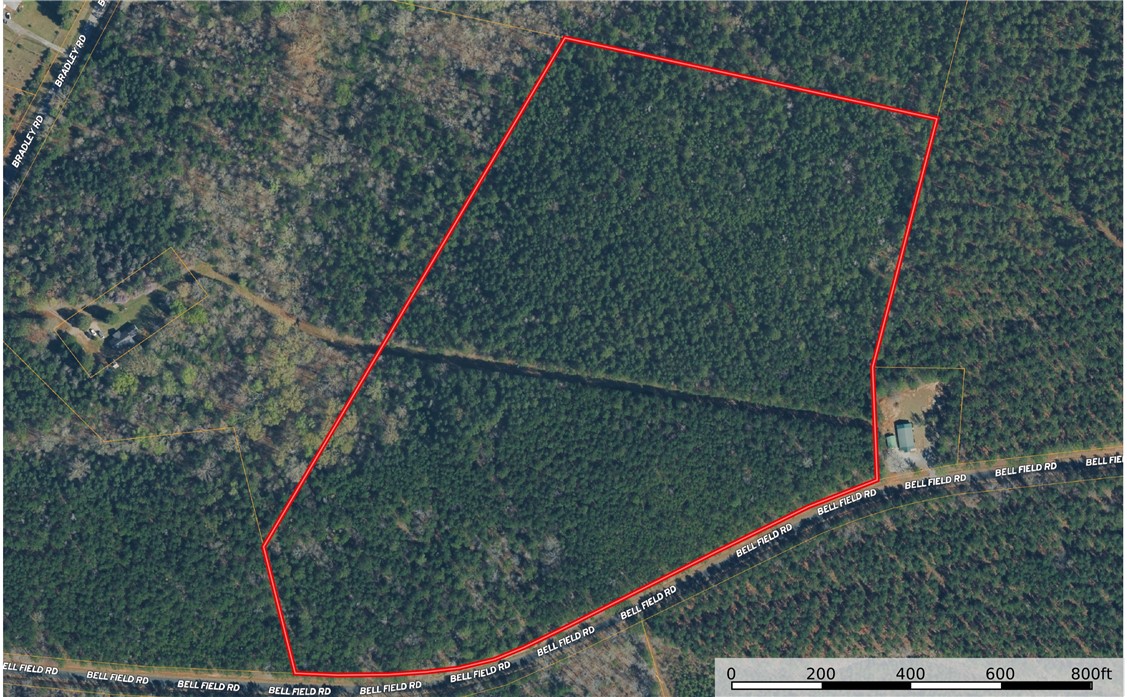 This expansive, wooded property offers diverse possibilities for development or personal use.