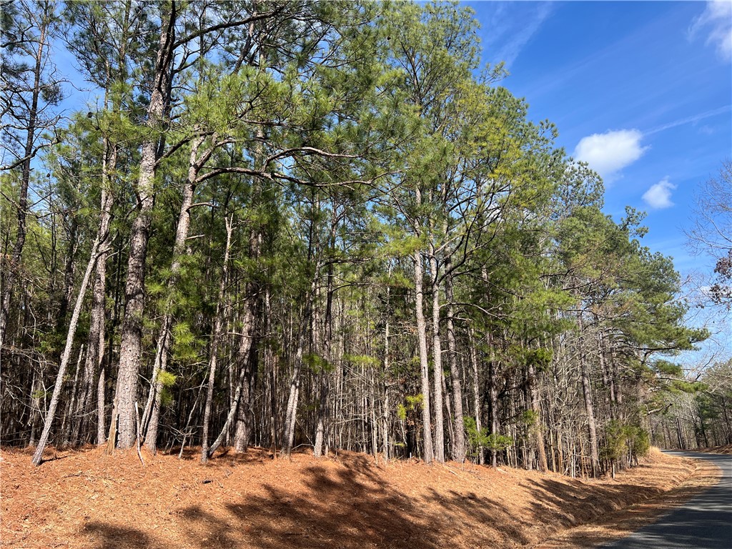 0 Bell Field Road McCormick, SC 29835 - Photo 4 of 14 This expansive, wooded lot provides a tranquil retreat for your future home.