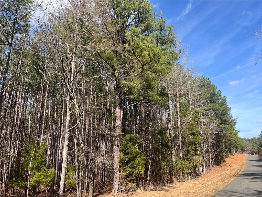 0 Bell Field Road McCormick, SC 29835 - Photo 5 of 14 Mature trees line the paved road, creating a natural and peaceful setting.