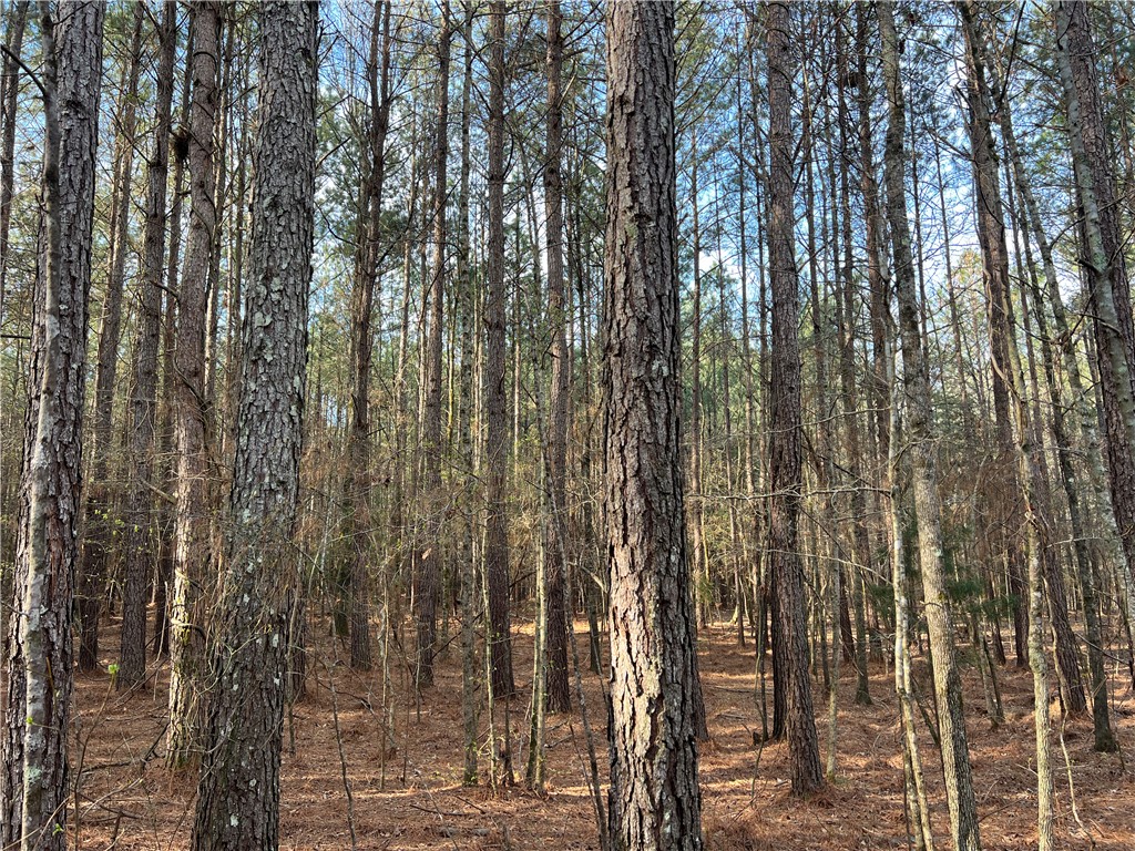 0 Bell Field Road McCormick, SC 29835 - Photo 10 of 14 Vast natural woodlands provide a serene and secluded environment.