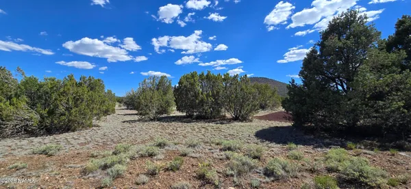 $91,000 | 7950 Daisy Drive, Unit LOT 25, Williams, AZ 86046