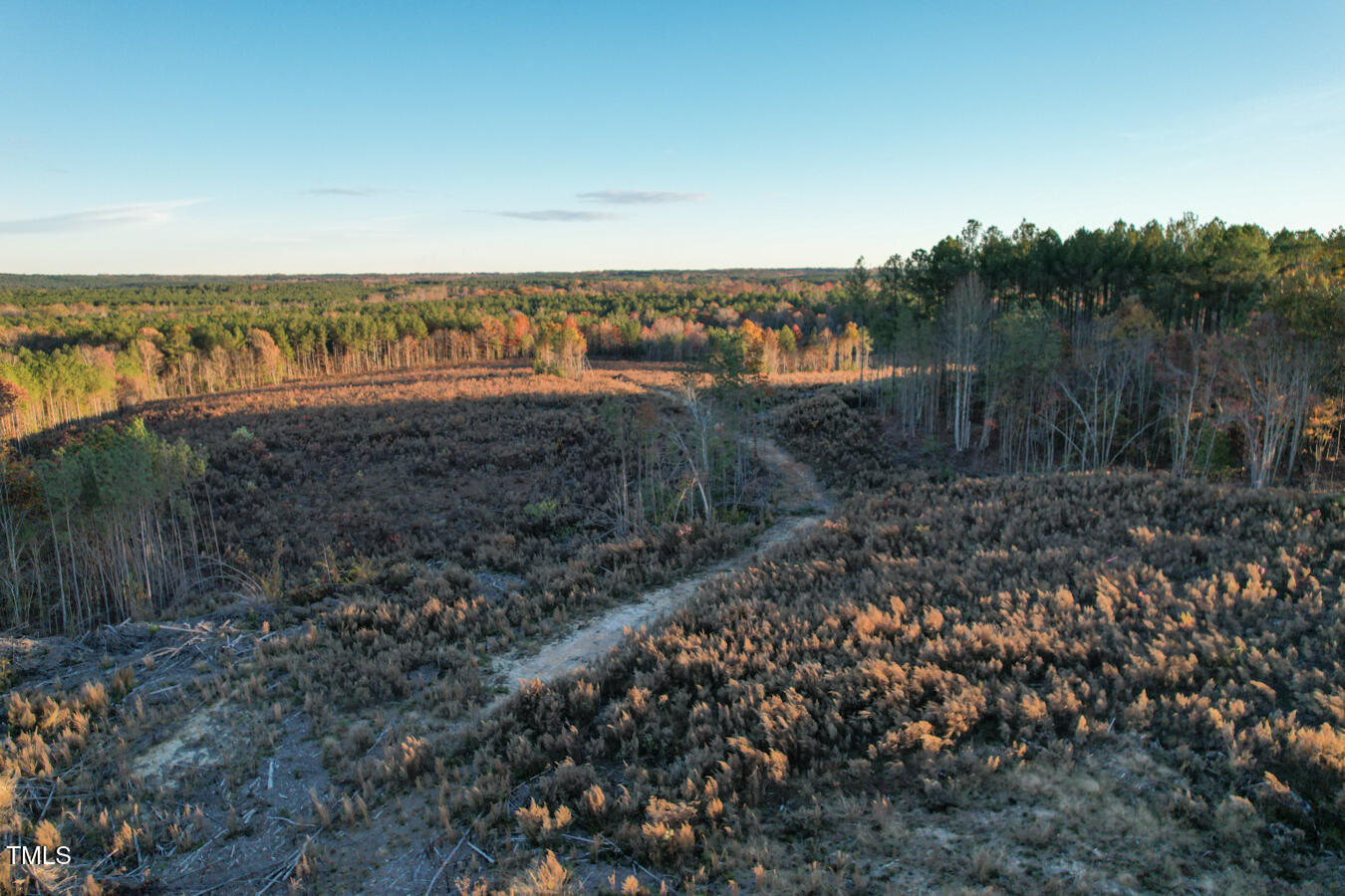 Lot 3 Cole Road Carthage, NC 28327 - Photo 1 of 10 Cleetwood MLS PICS-0235