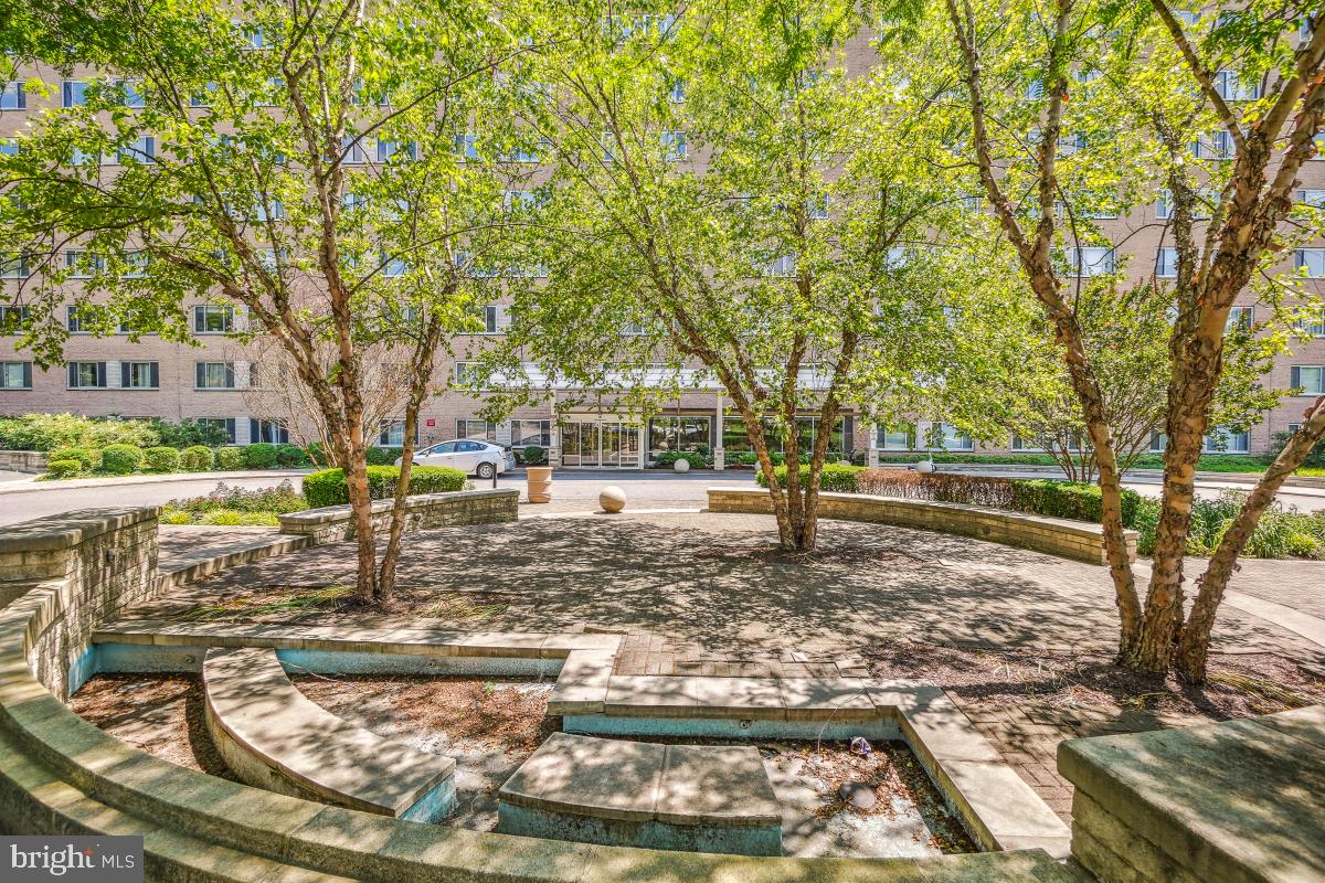 1900 Lyttonsville Road, Unit 1101 Silver Spring, MD 20910 - Photo 21 of 24 a view of a yard with trees
