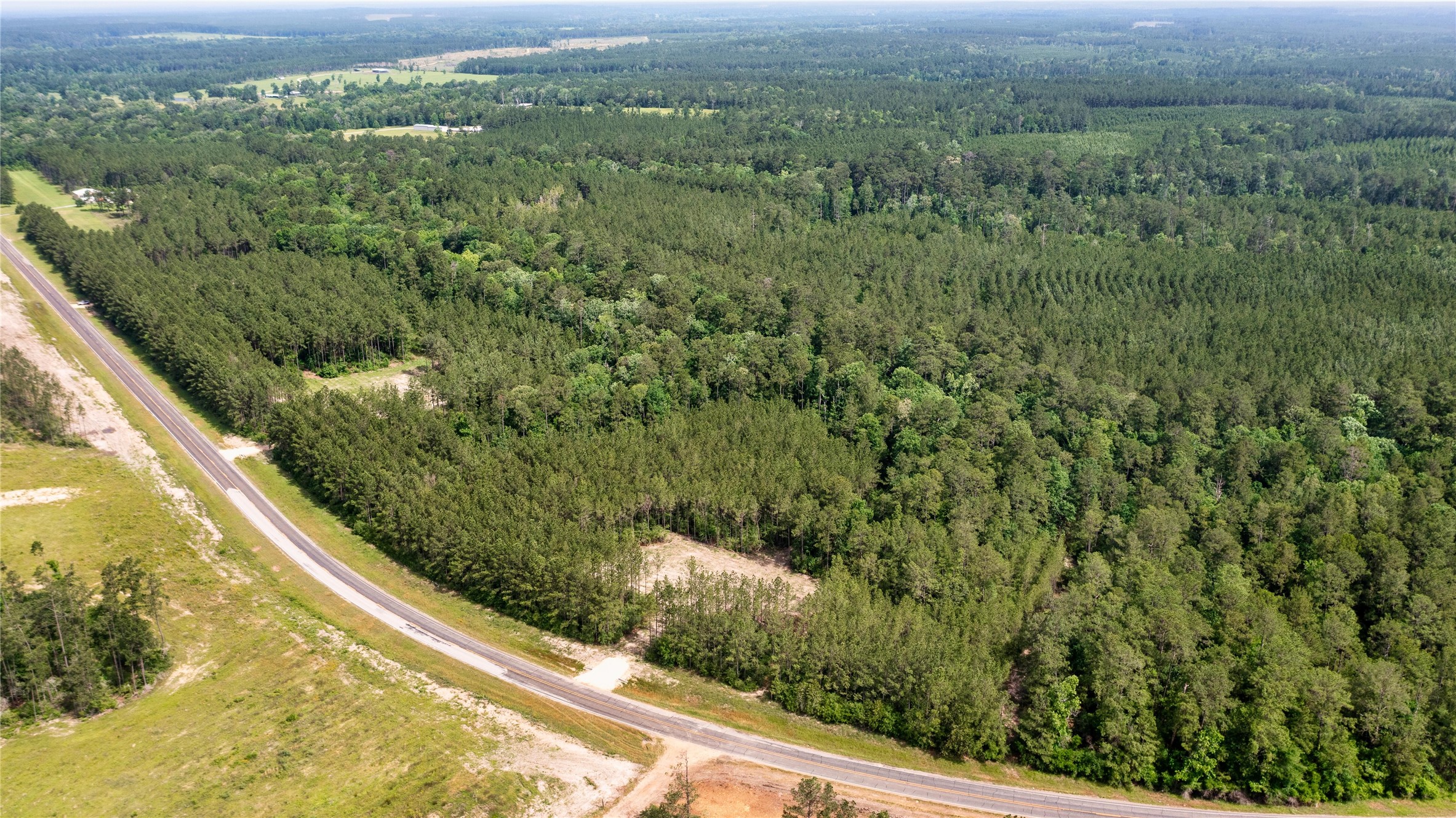 a view of a forest from a balcony