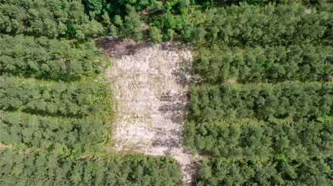 a view of a green field with lots of bushes