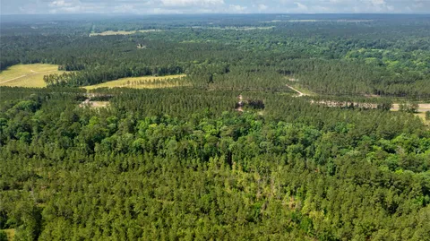 $150,000 | Tract 1 Fm 942, Livingston, TX 77351