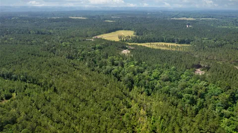 $150,000 | Tract 1 Fm 942, Livingston, TX 77351