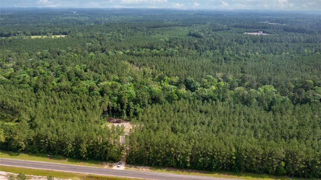 a view of a green field with lots of bushes