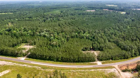 a view of a forest with trees in the background