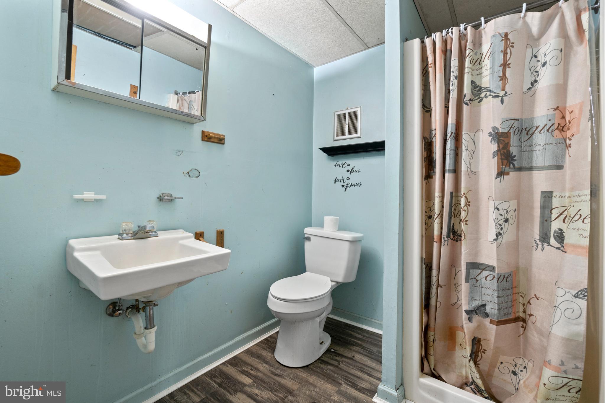 5331 Partlow Road Partlow, VA 22534 - Photo 20 of 45 Full basement bathroom
