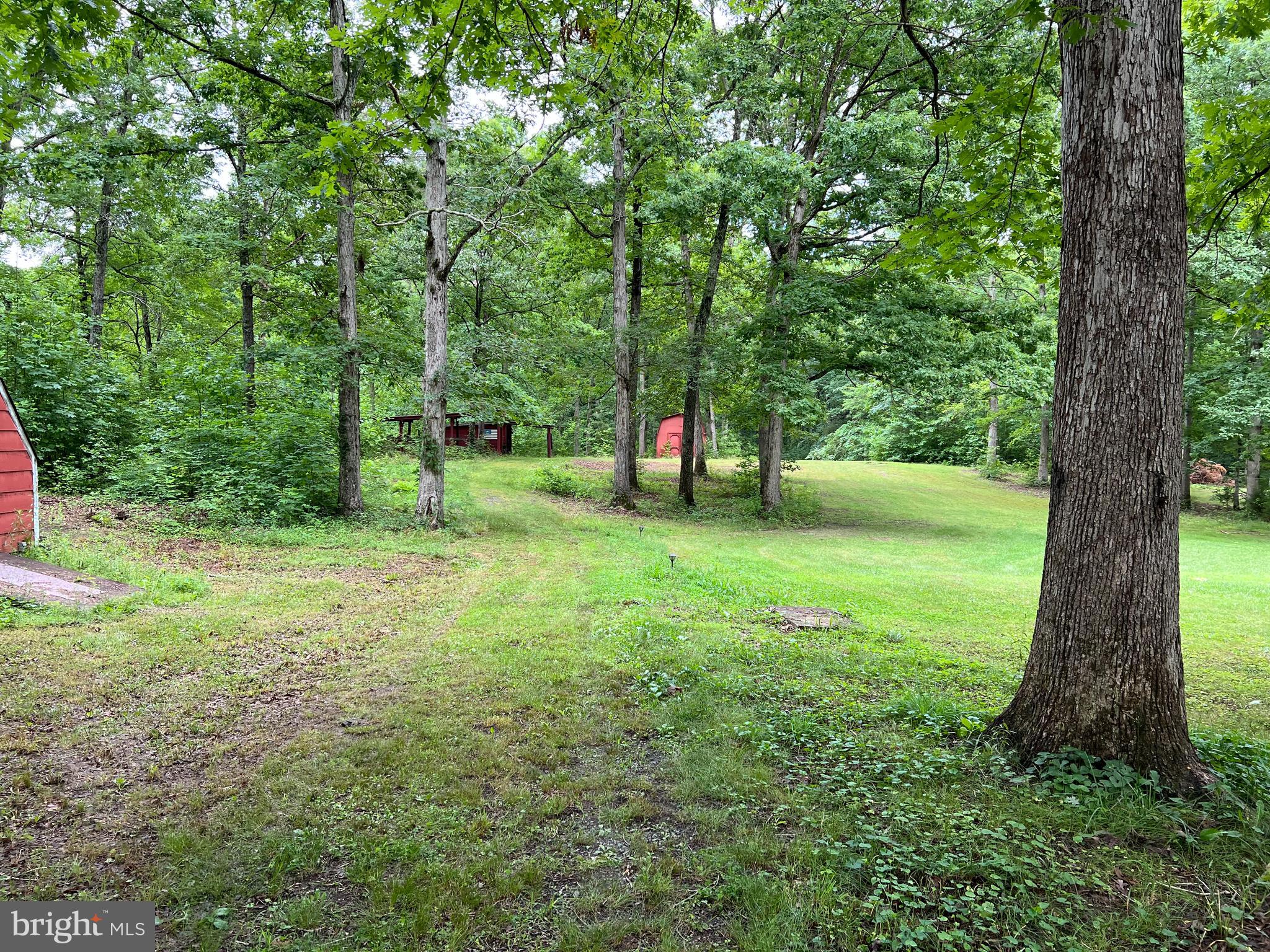 5331 Partlow Road Partlow, VA 22534 - Photo 35 of 45 Looking at the road to the back