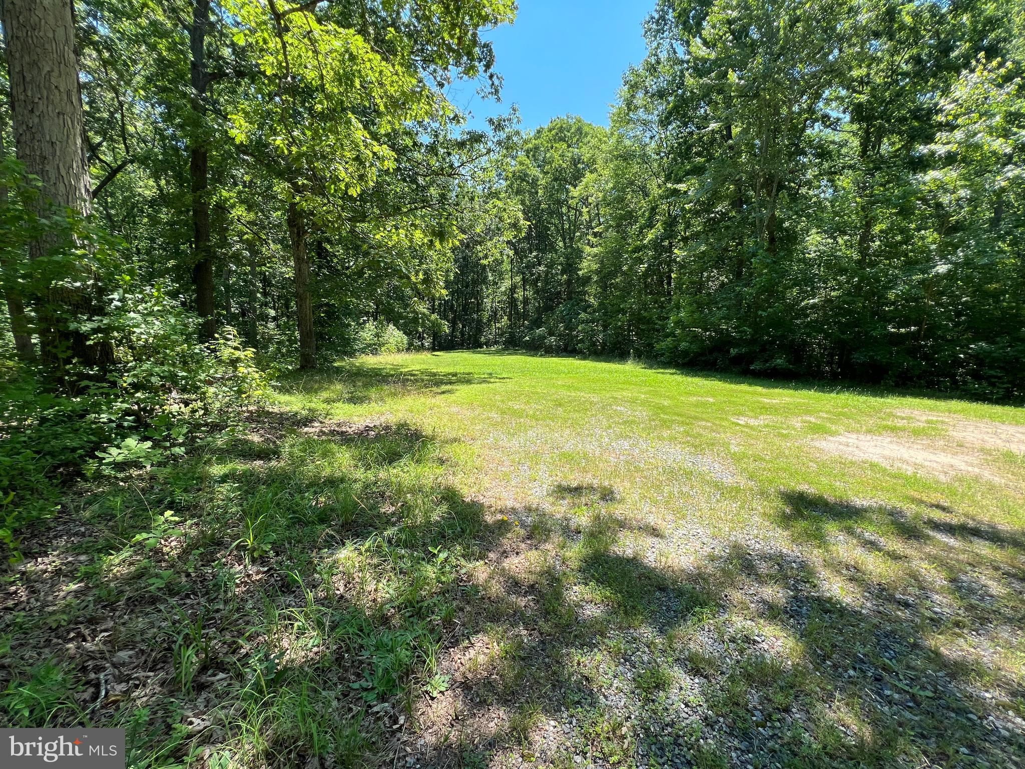 5331 Partlow Road Partlow, VA 22534 - Photo 36 of 45 Walking the back of the property