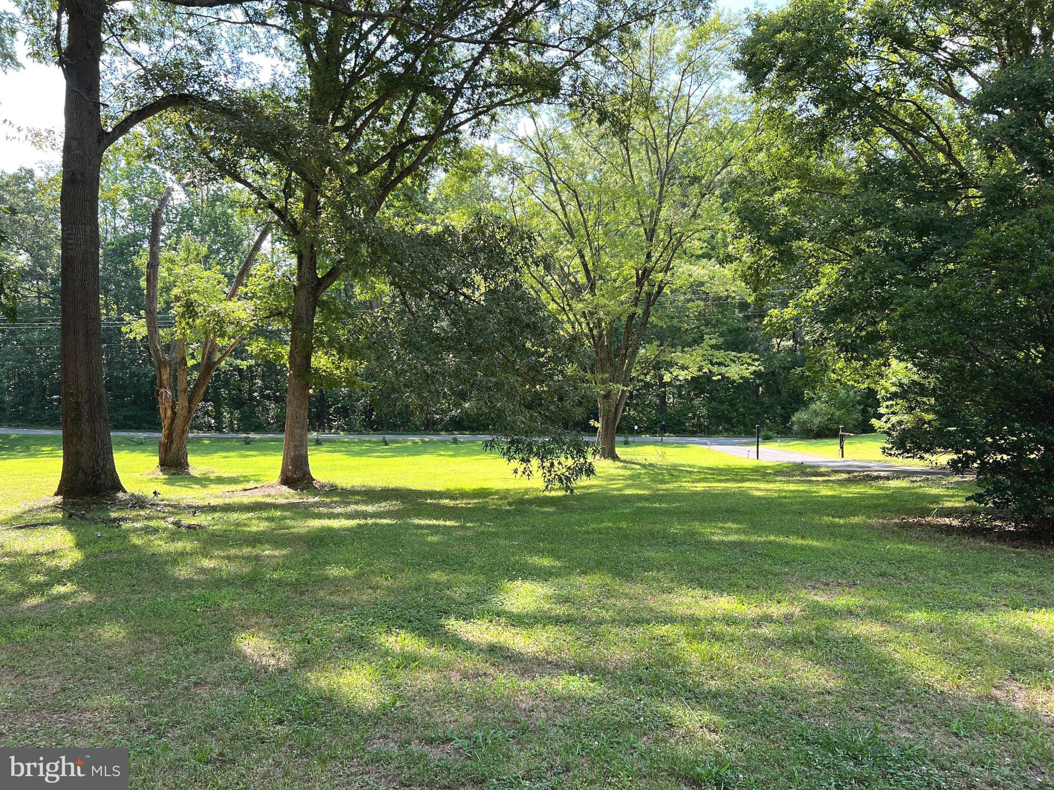 5331 Partlow Road Partlow, VA 22534 - Photo 42 of 45 Park like setting in the front yard