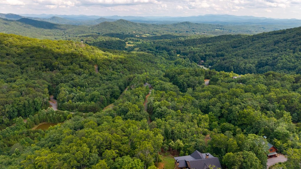 57 Gentle Ponds View Murphy, NC 28906 - Photo 6 of 61