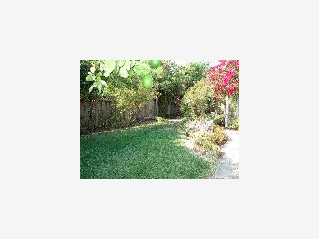 7856 McClellan Road Cupertino, CA 95014 - Photo 9 of 9 Gallery Image 9