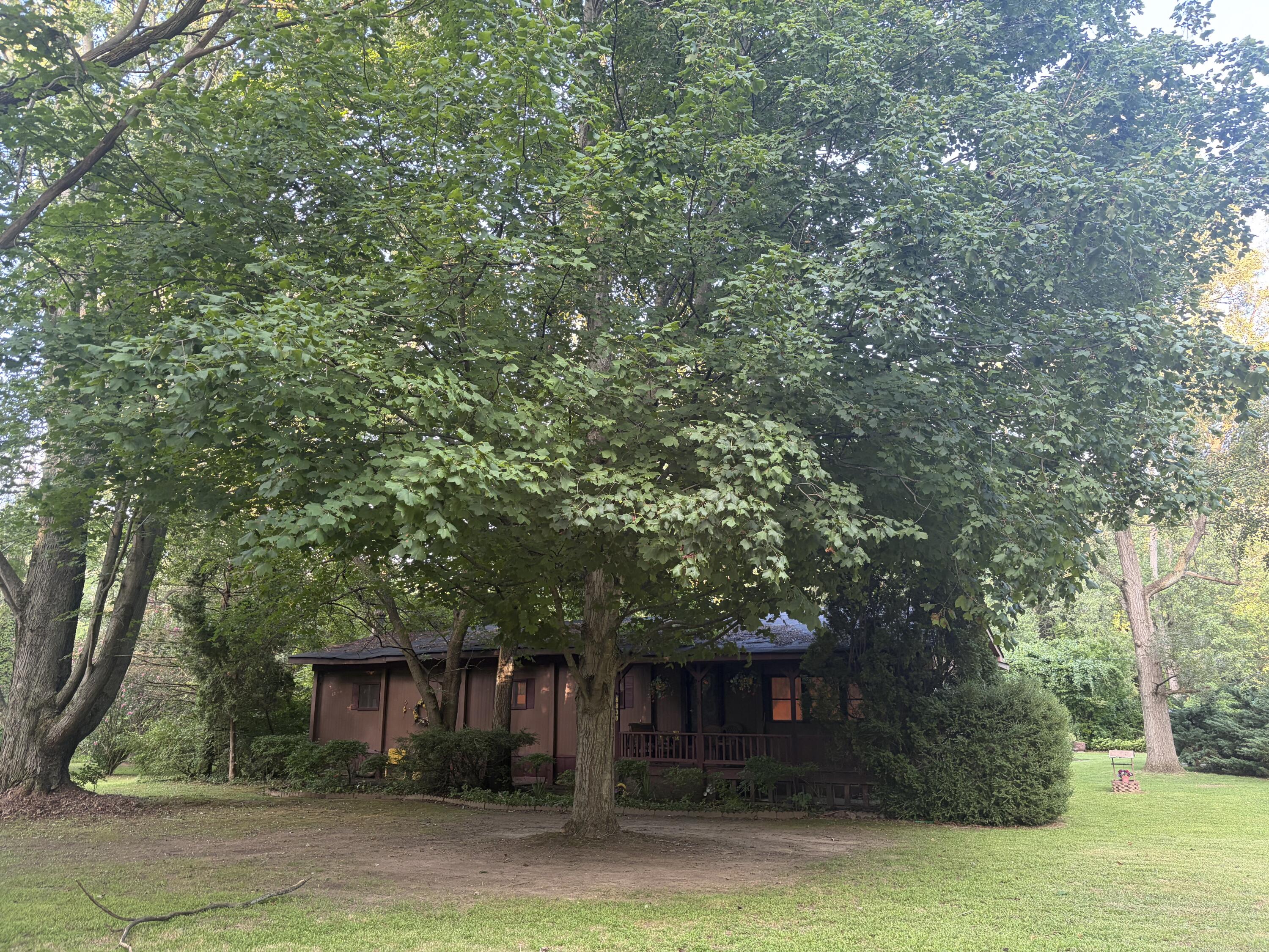 8830 Zion Road Rives Junction, MI 49277 - Photo 1 of 1 IMG_0323 (1)