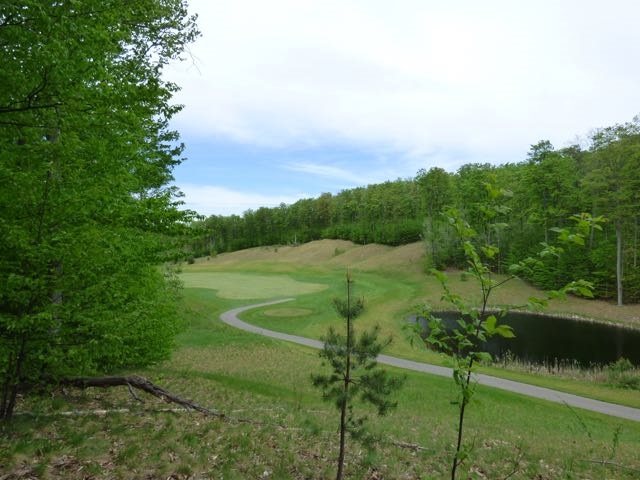 170 Raptor Run, Unit LOT: 170 Bellaire, MI 49615 - Photo 26 of 29