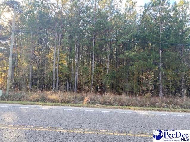 Tbd Savannah Grove Road Effingham, SC 29541 - Photo 1 of 3 Gallery Image 1