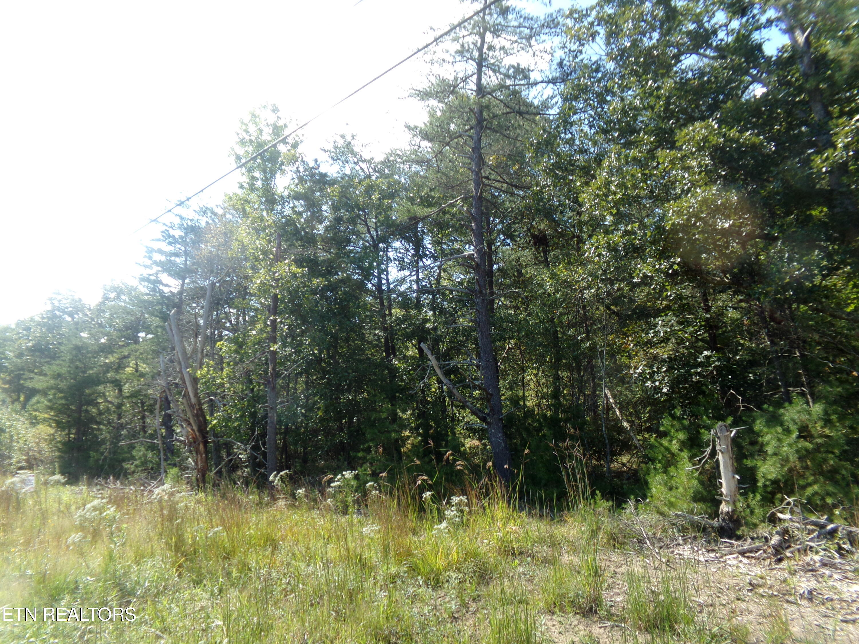 3020 Oswego Road Crossville, TN 38572 - Photo 5 of 7 Good Soil Test