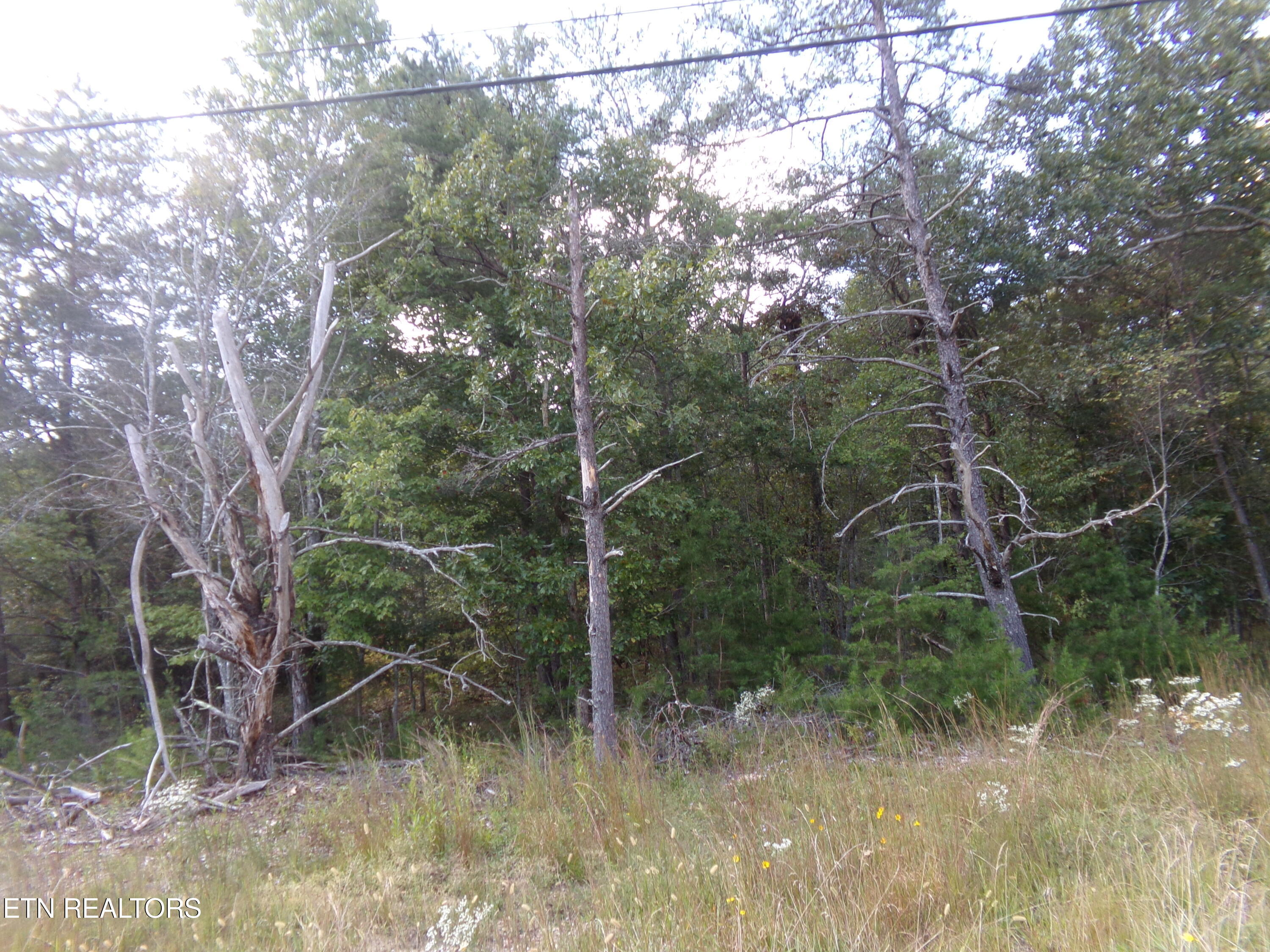 3020 Oswego Road Crossville, TN 38572 - Photo 7 of 7 Level Lot