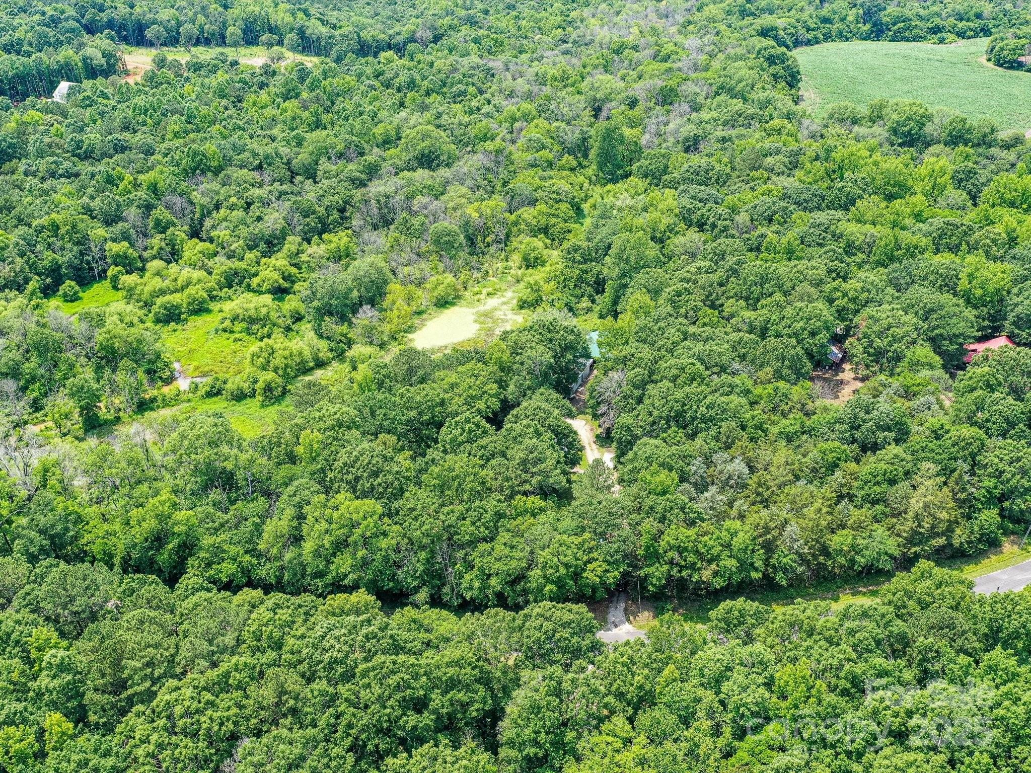 615 Hawley Road McConnells, SC 29726 - Photo 34 of 47 a view of a lush green forest with lots of trees