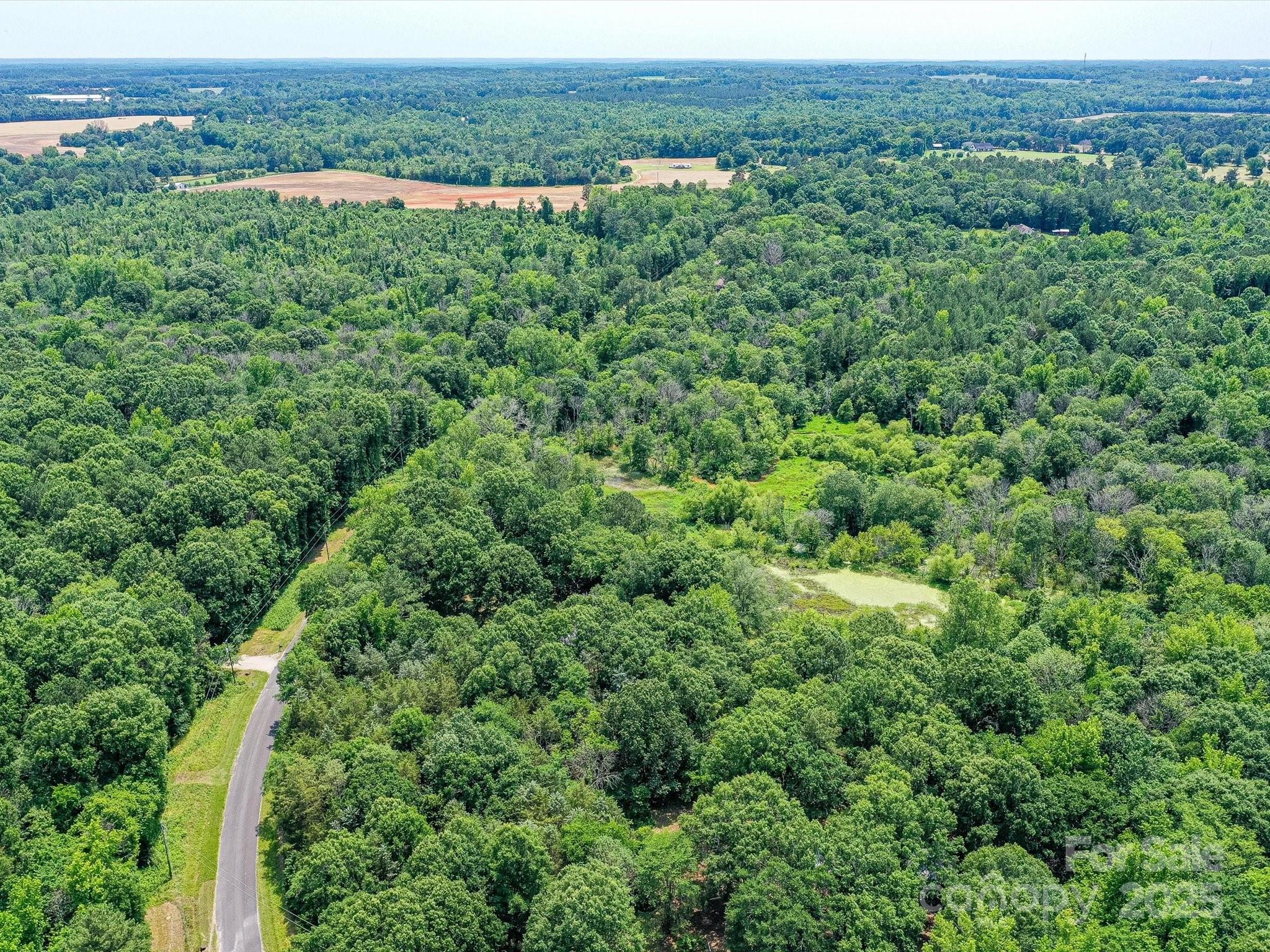615 Hawley Road McConnells, SC 29726 - Photo 39 of 47 a view of a forest with a street