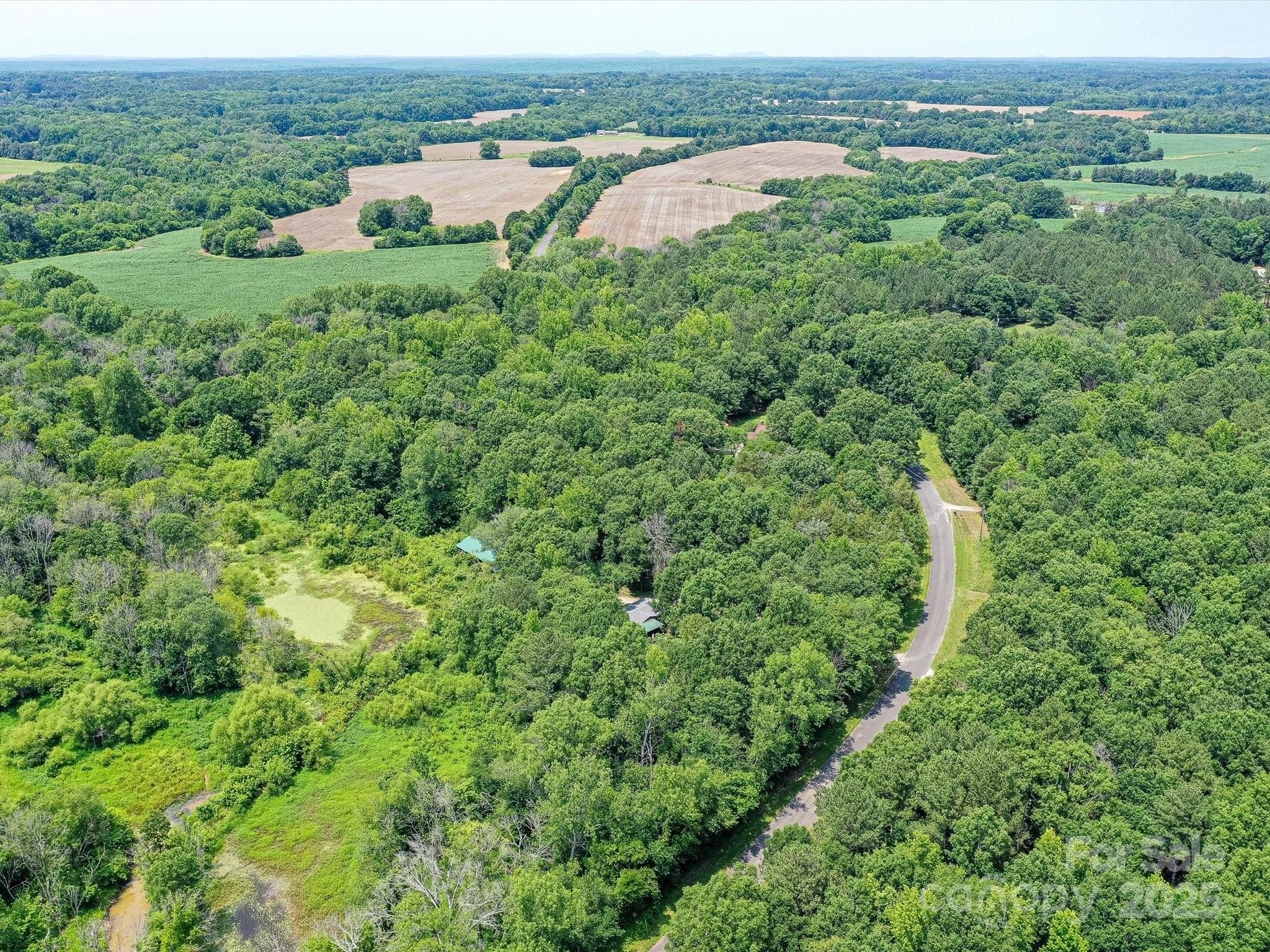 615 Hawley Road McConnells, SC 29726 - Photo 43 of 47 an aerial view of a forest with houses