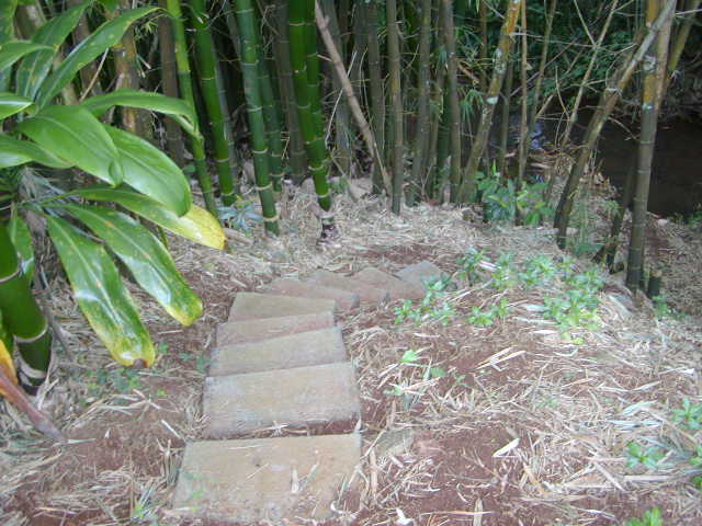 6701 B Puupilo Road Kapaa, HI 96746 - Photo 13 of 19 Gallery Image 13
