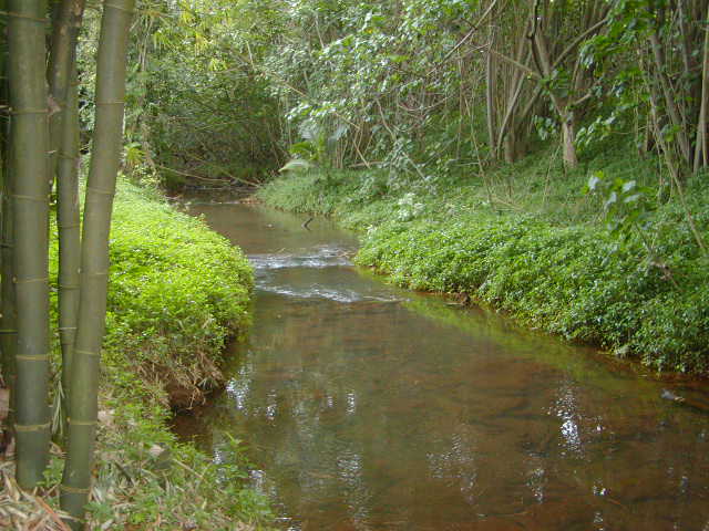6701 B Puupilo Road Kapaa, HI 96746 - Photo 14 of 19 Gallery Image 14